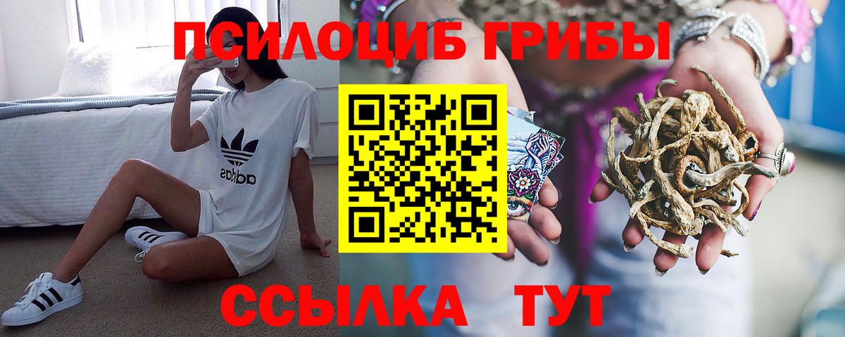 Усть-Джегута  Псилоцибиновые грибы Magic Shrooms  Вход с VPN 
